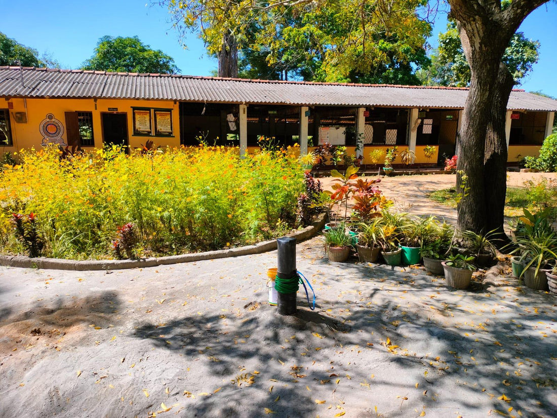 Forage – Sri Lanka