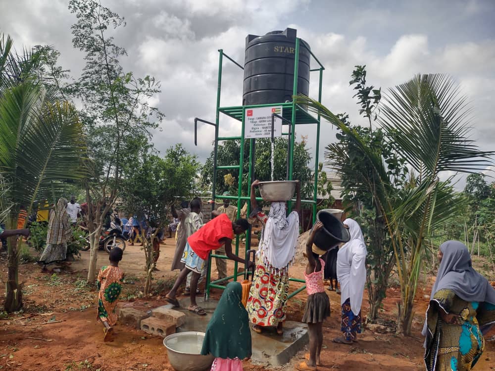 SAT-164 - Mini forage - Togo, late cope, Zio