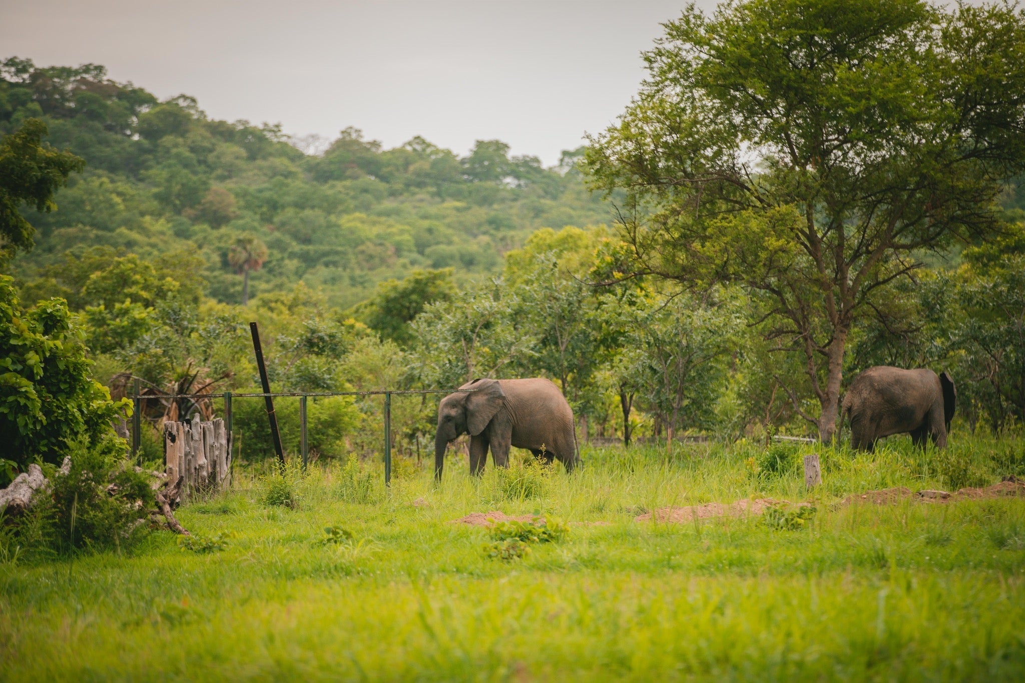 SAT-170 -Orphelinat – Sokodé, Togo