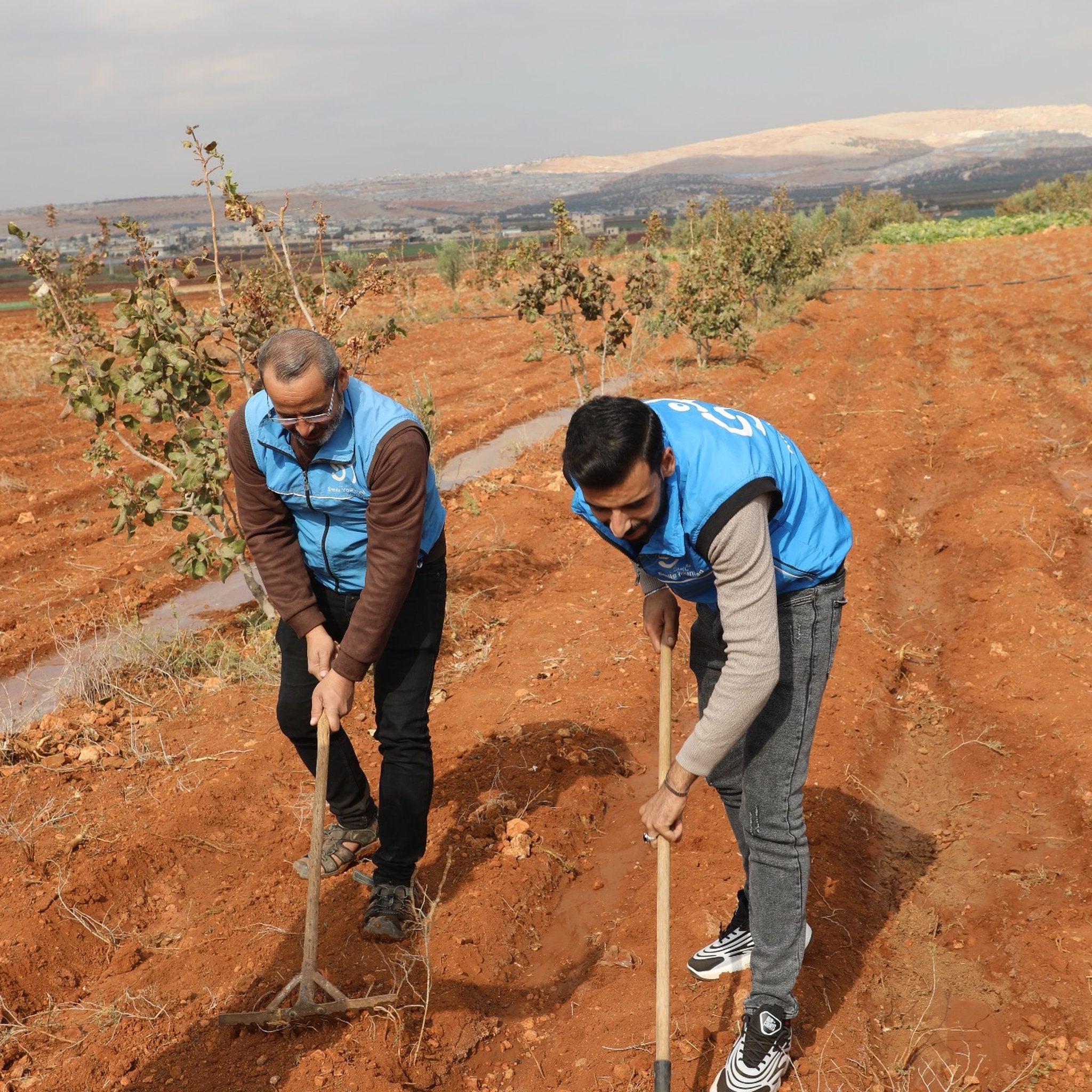 SAT-145 - Potager - Moyent Orient