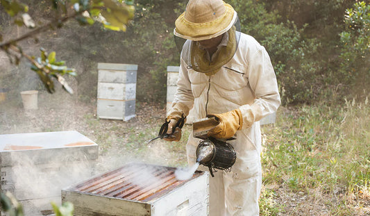 Offer a beehive in your name in Benin