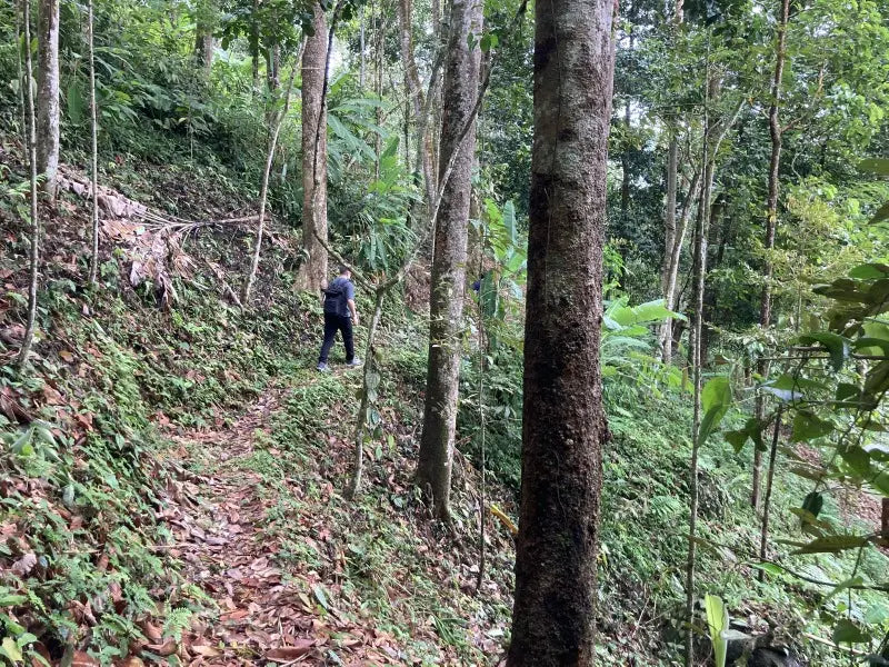 SAT-36 - Filtres Malaisie - Malaisie, Kuala Lumpur