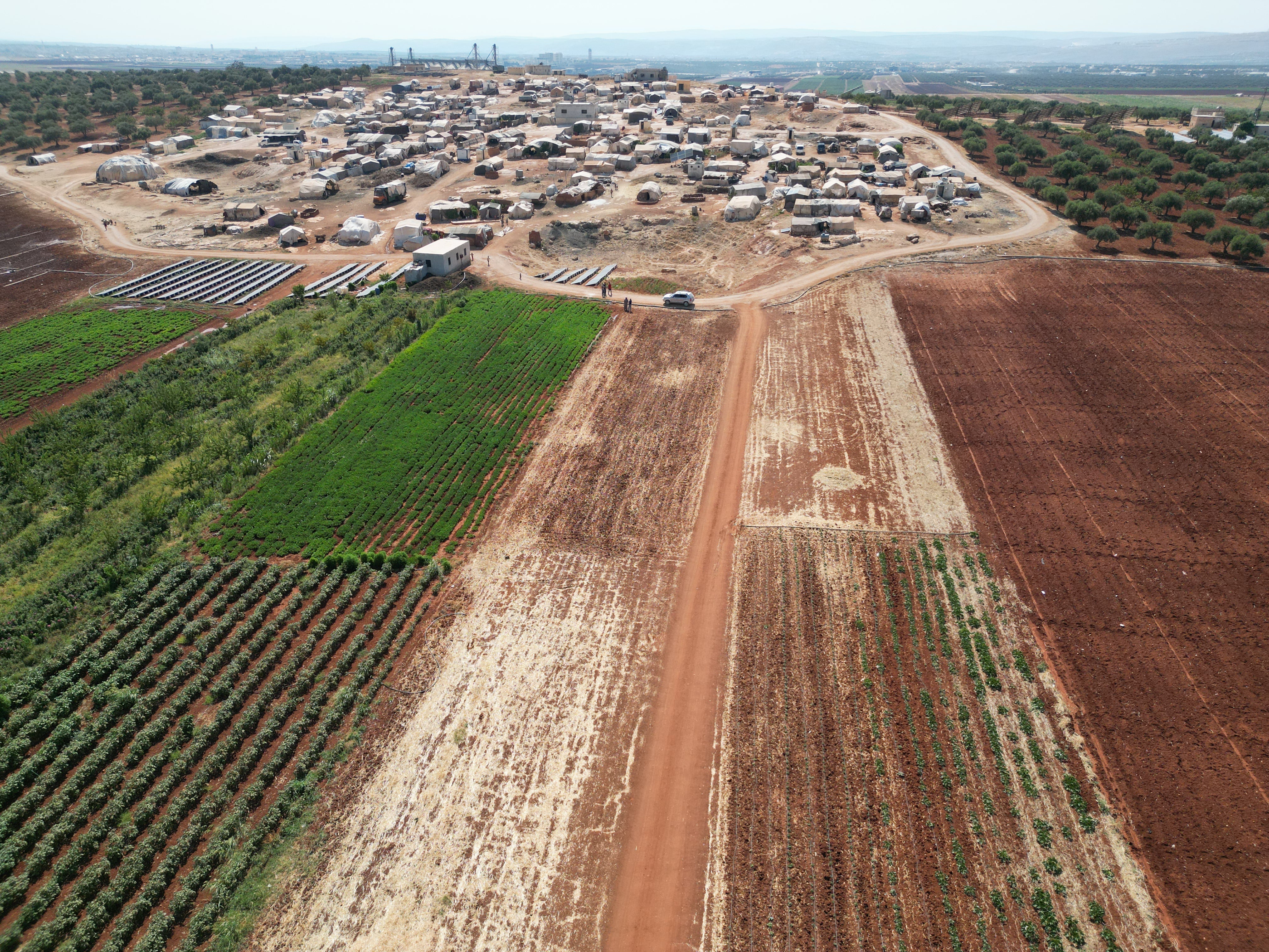 SAT-144 - Terrain Agricole, Moyen Orient