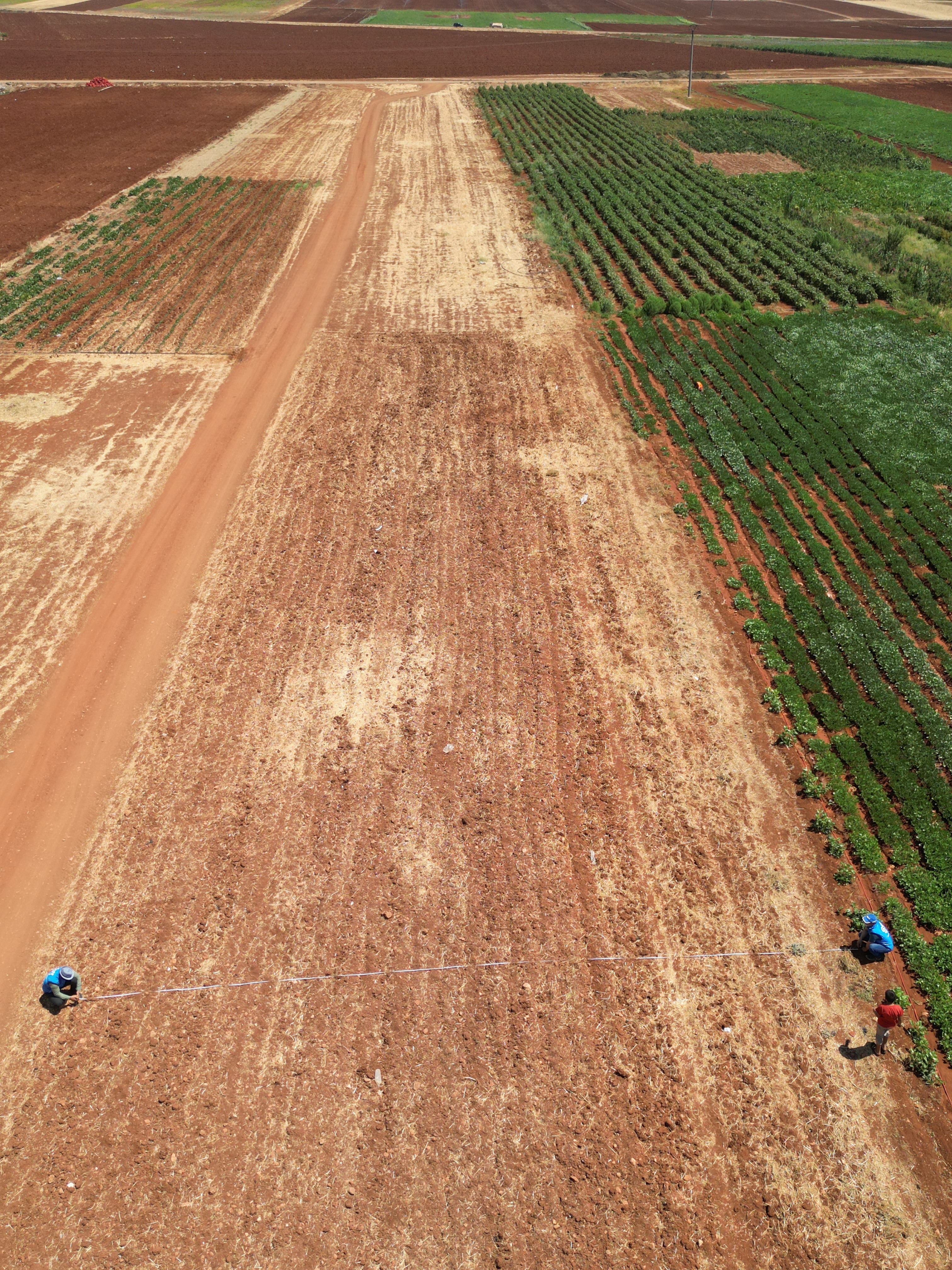 SAT-144 - Terrain Agricole, Moyen Orient
