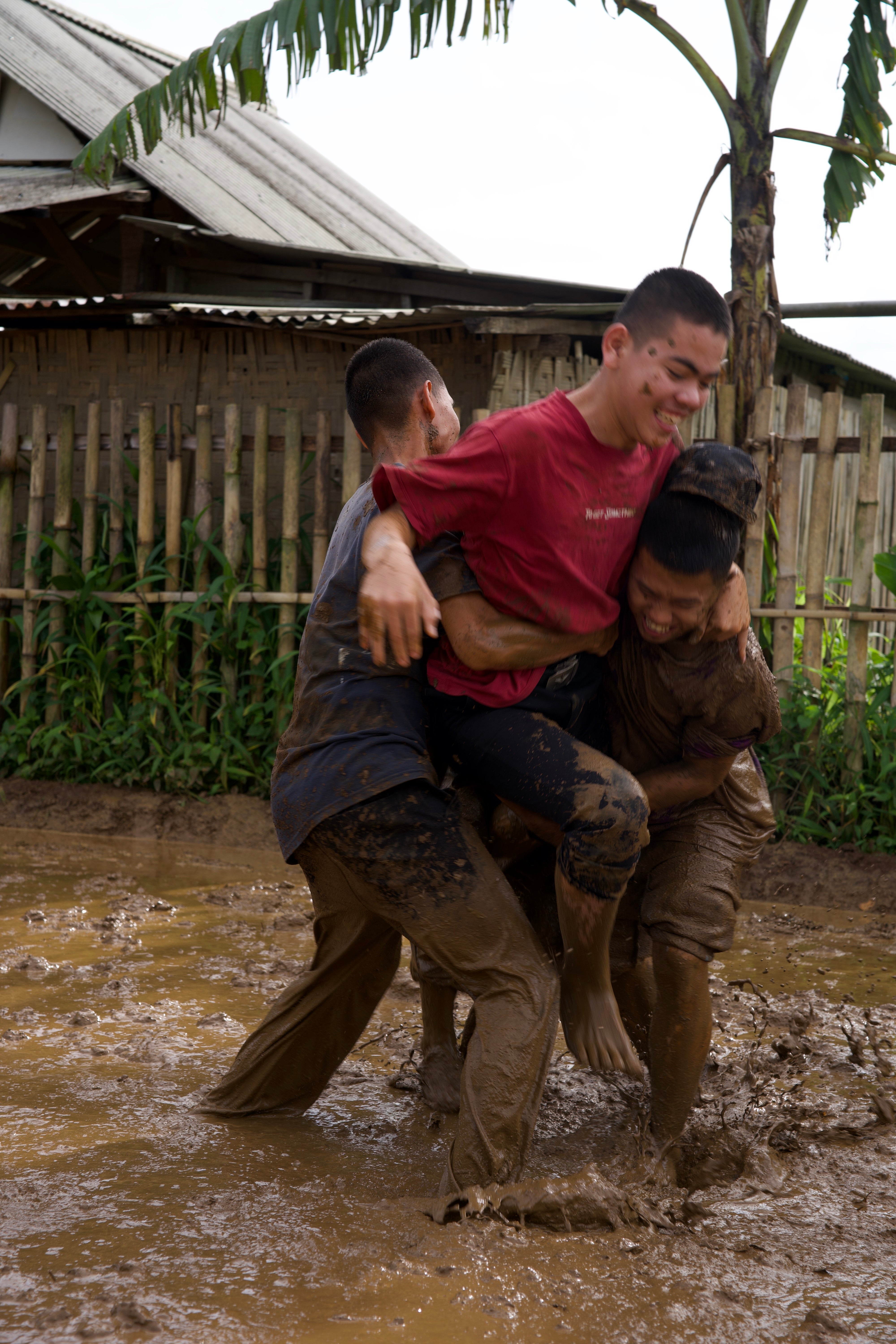 SAT-113 - Rizière – Bogor, Indonésie