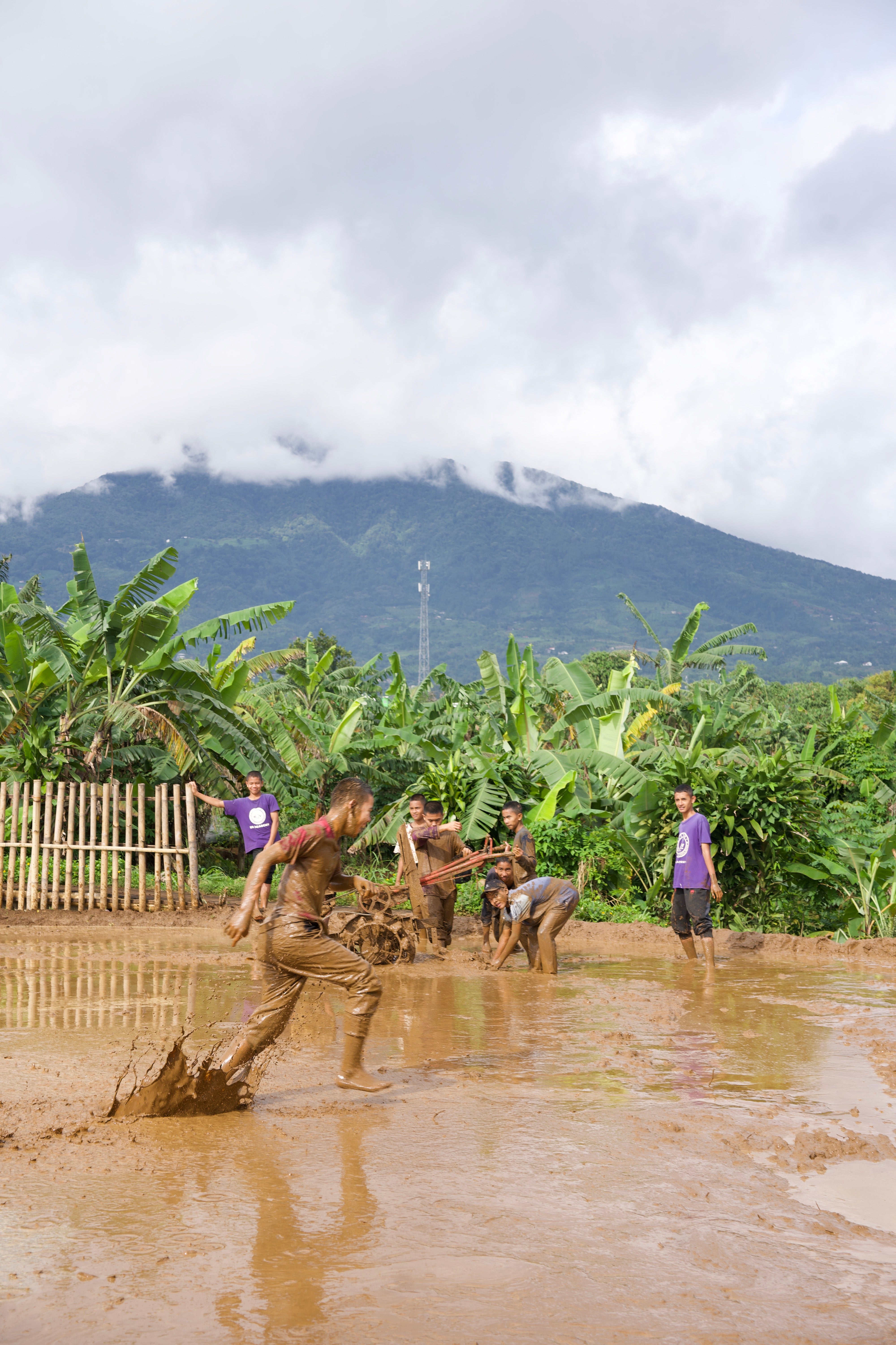 SAT-113 - Rizière – Bogor, Indonésie