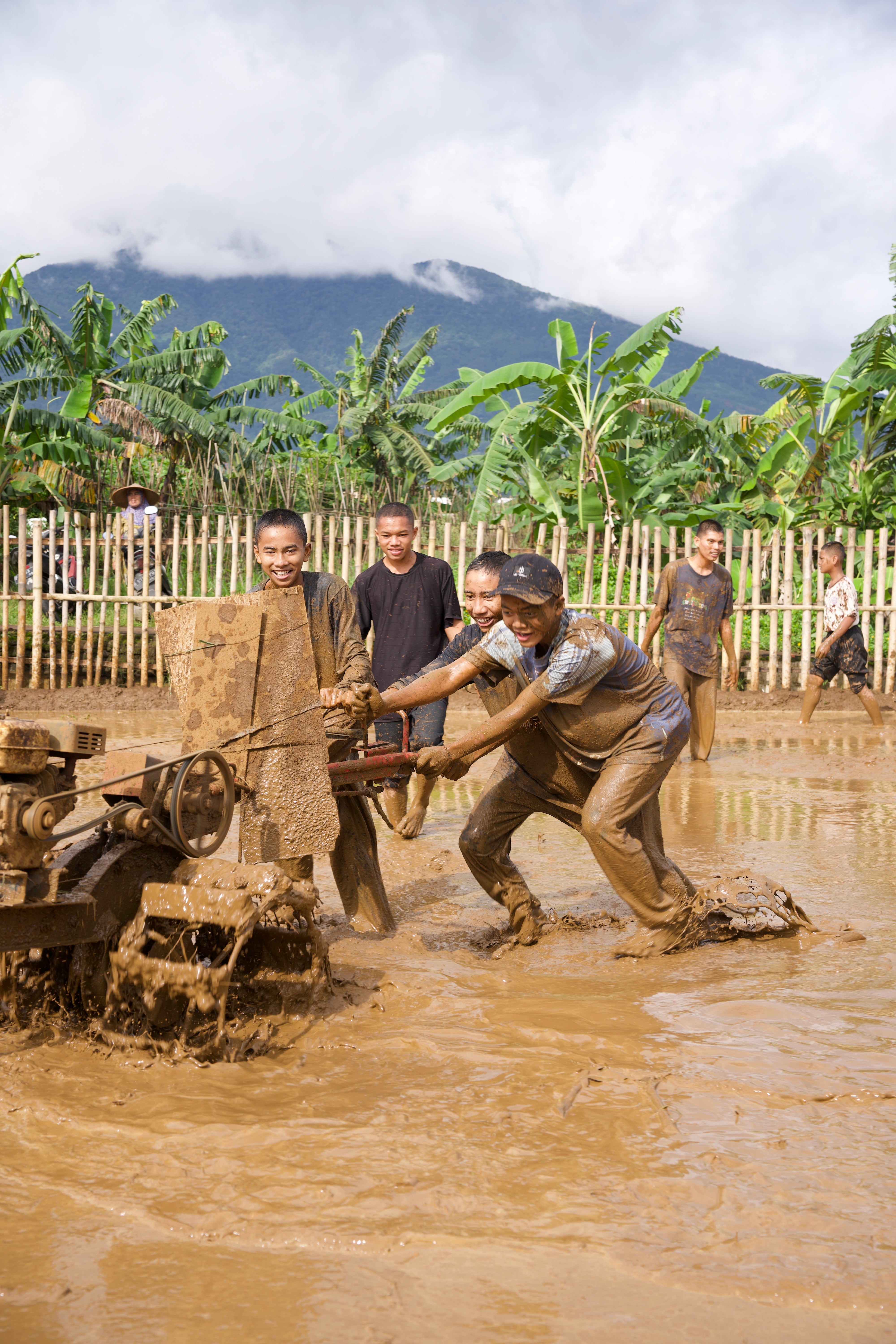 SAT-113 - Rizière – Bogor, Indonésie