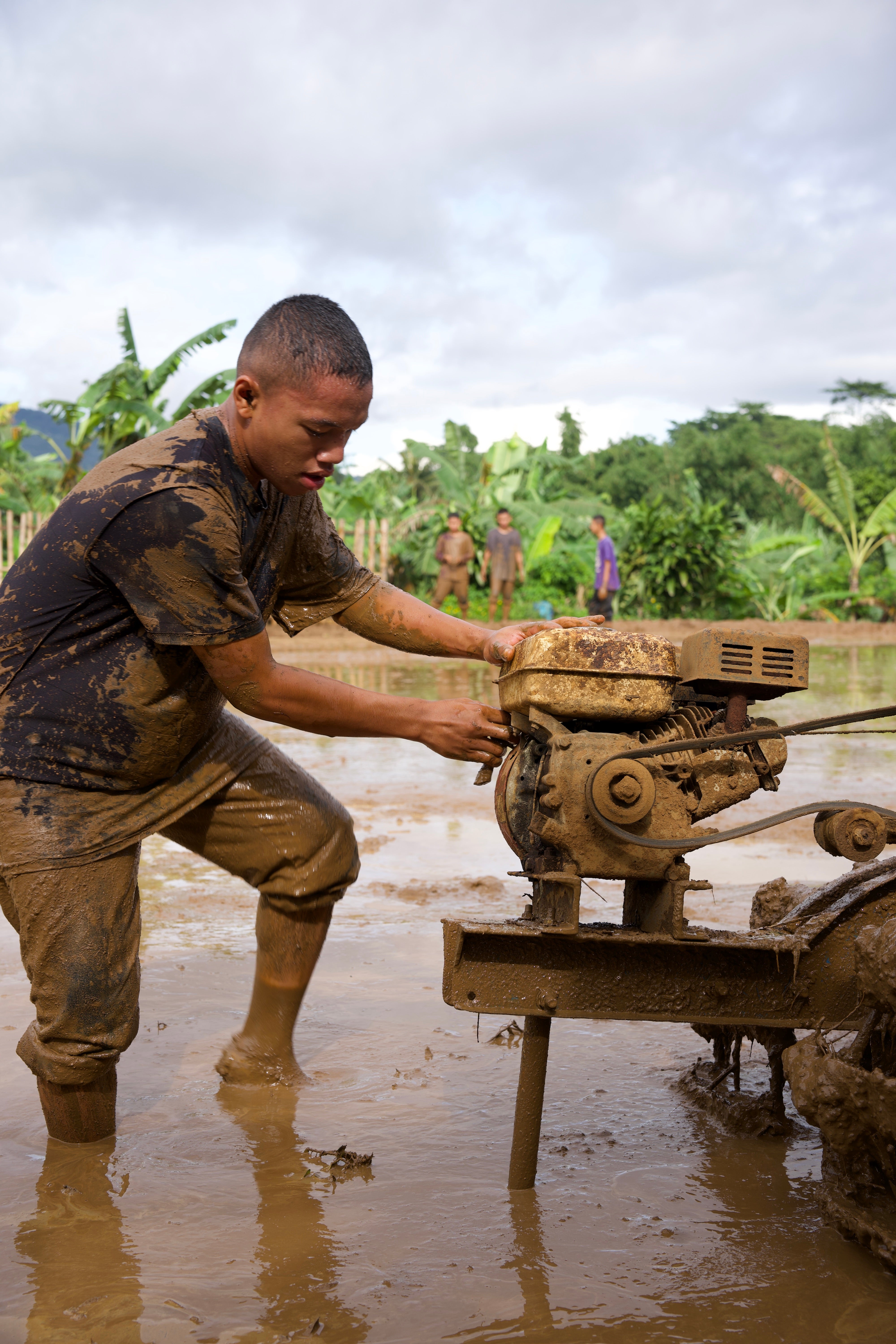 SAT-113 - Rizière – Bogor, Indonésie