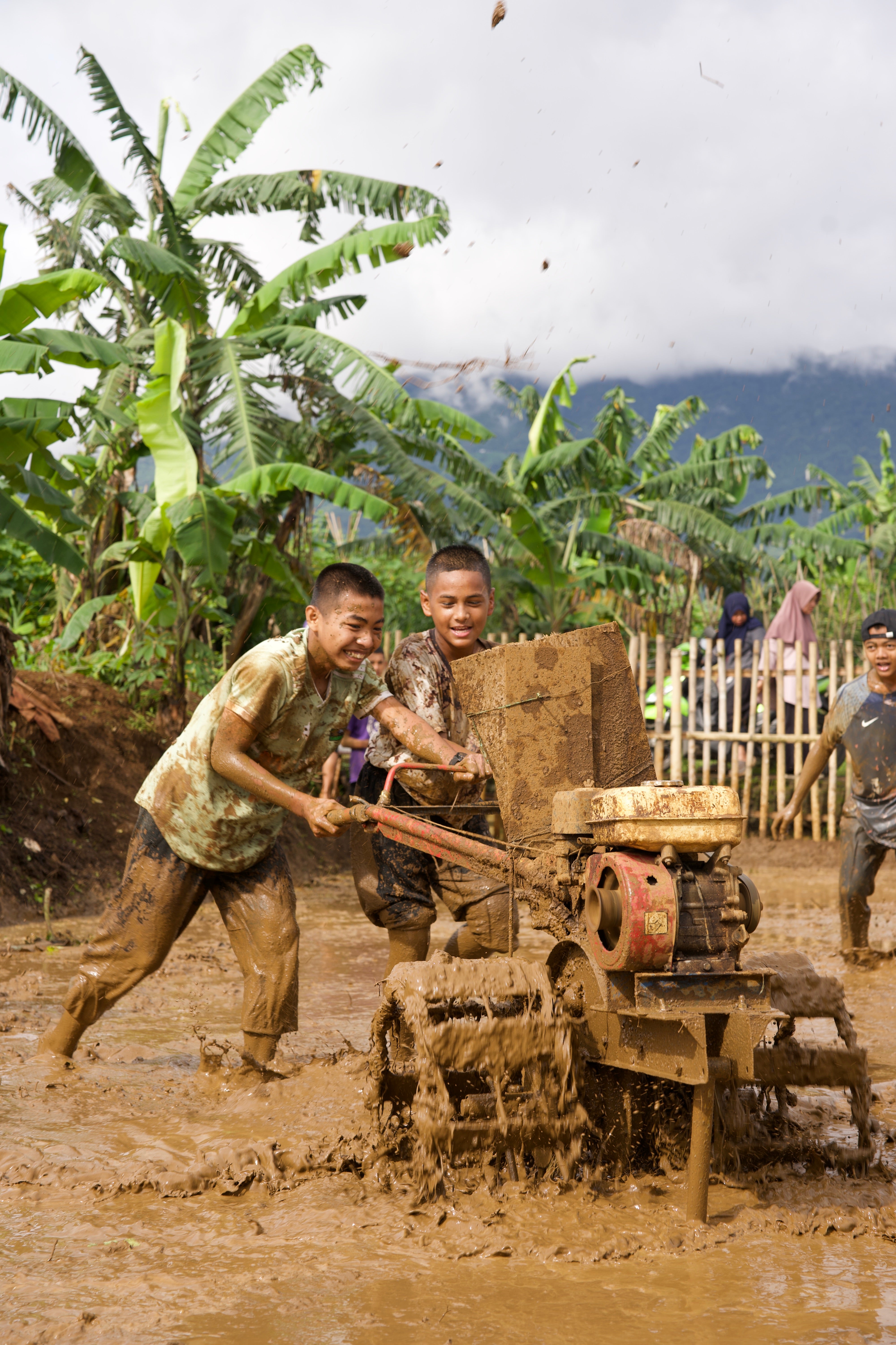 SAT-113 - Rizière – Bogor, Indonésie