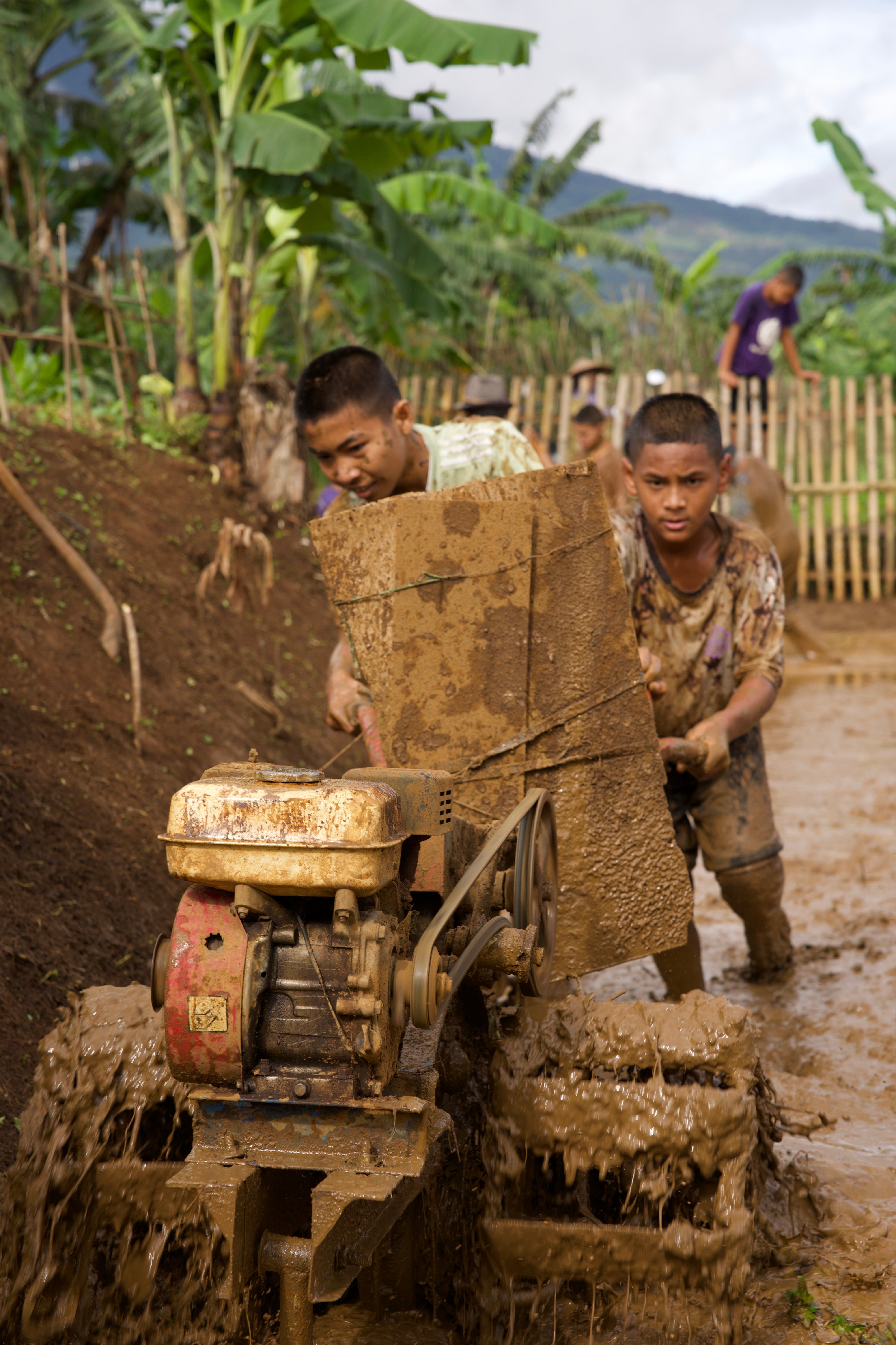 SAT-113 - Rizière – Bogor, Indonésie