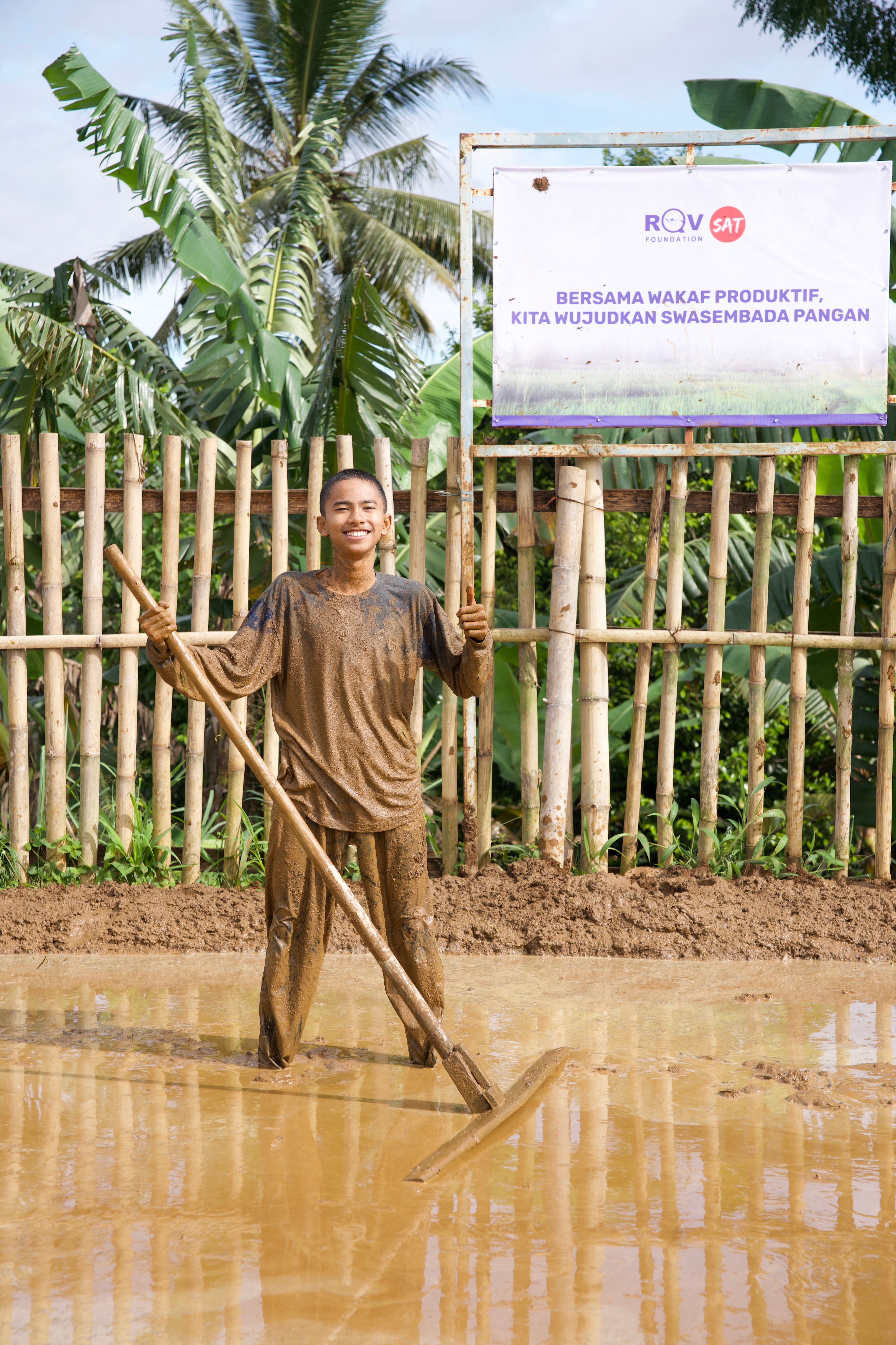 SAT-113 - Rizière – Bogor, Indonésie