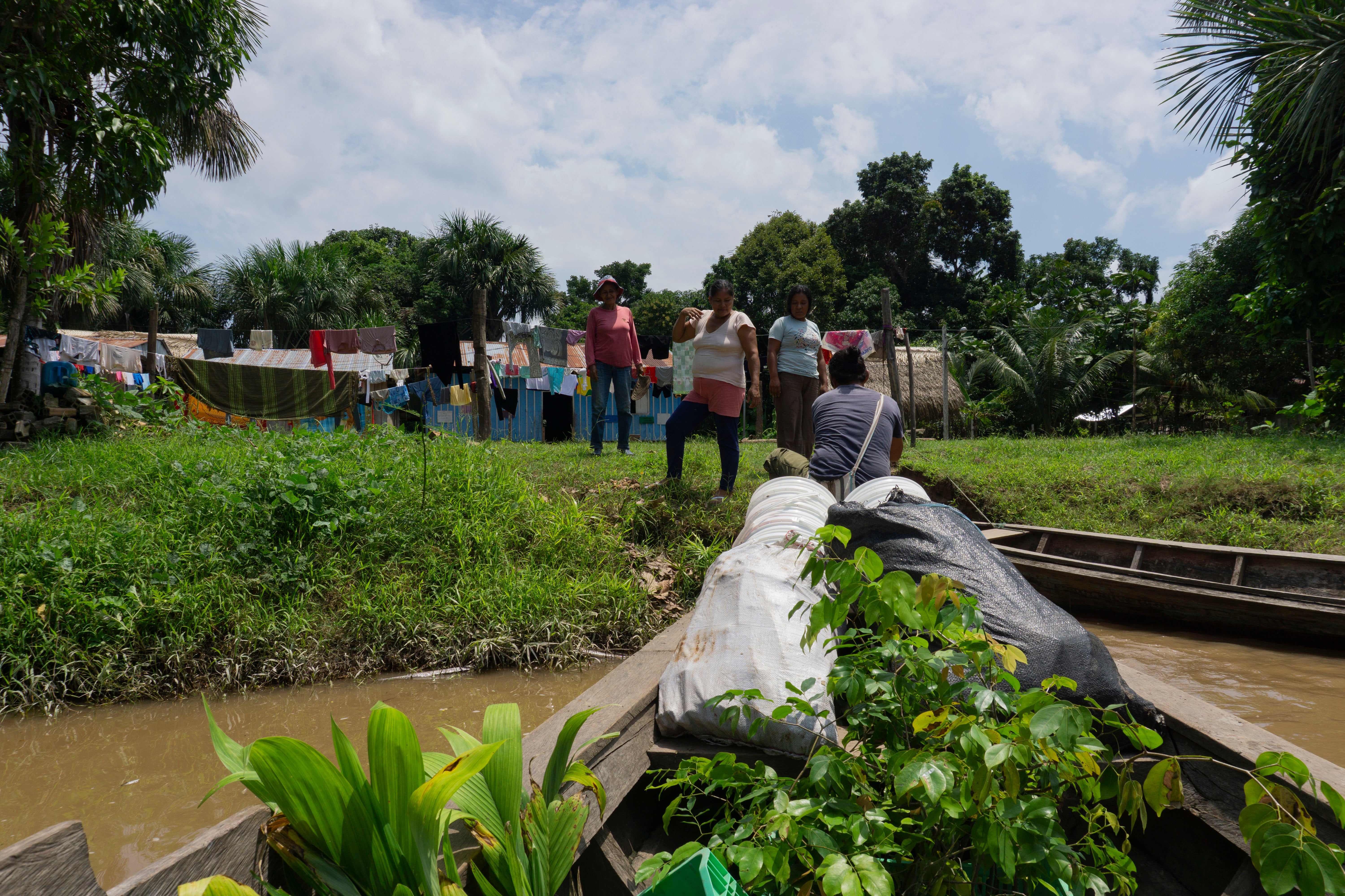 SAT-98 - Arbre Perou