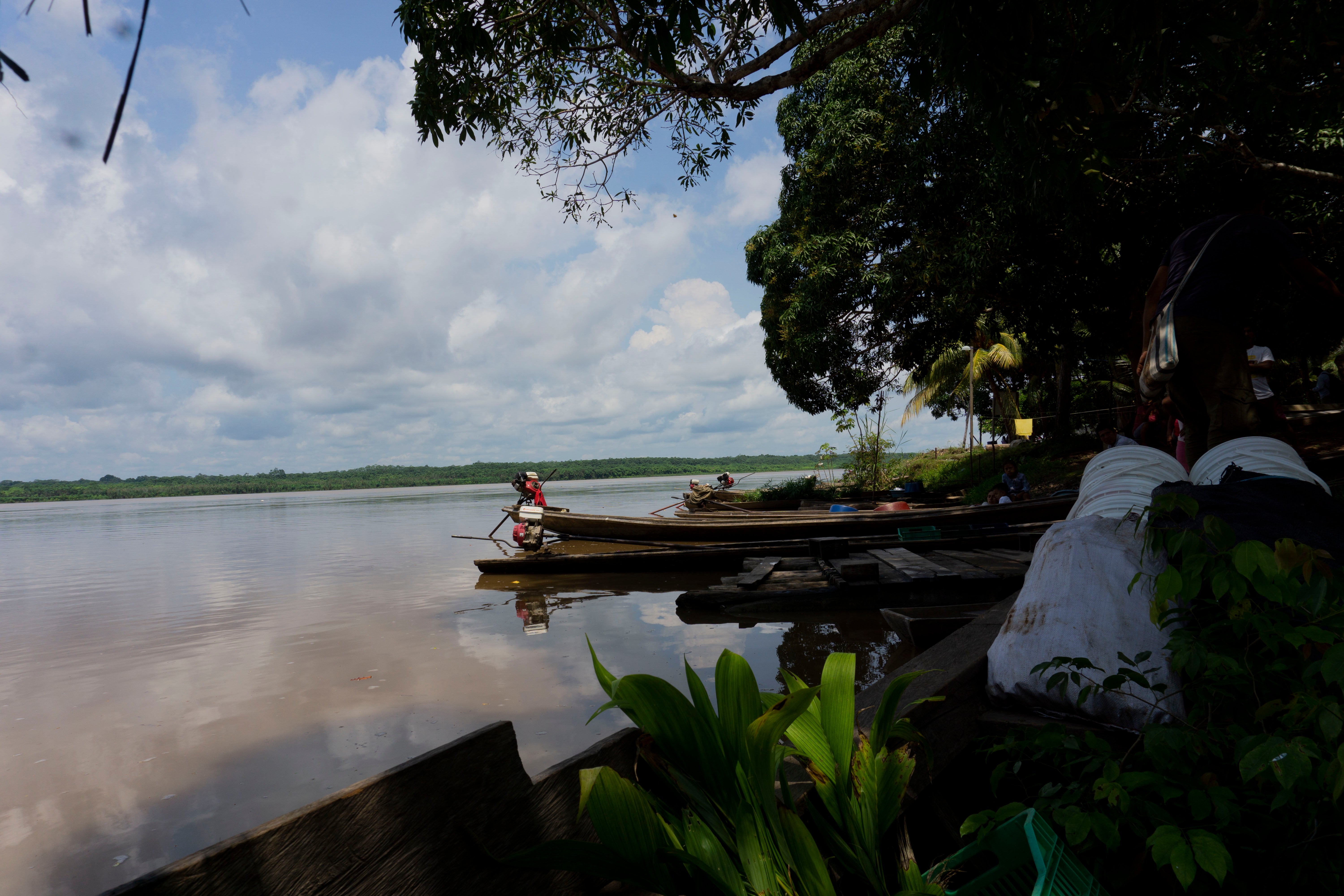 SAT-98 - Arbre Perou