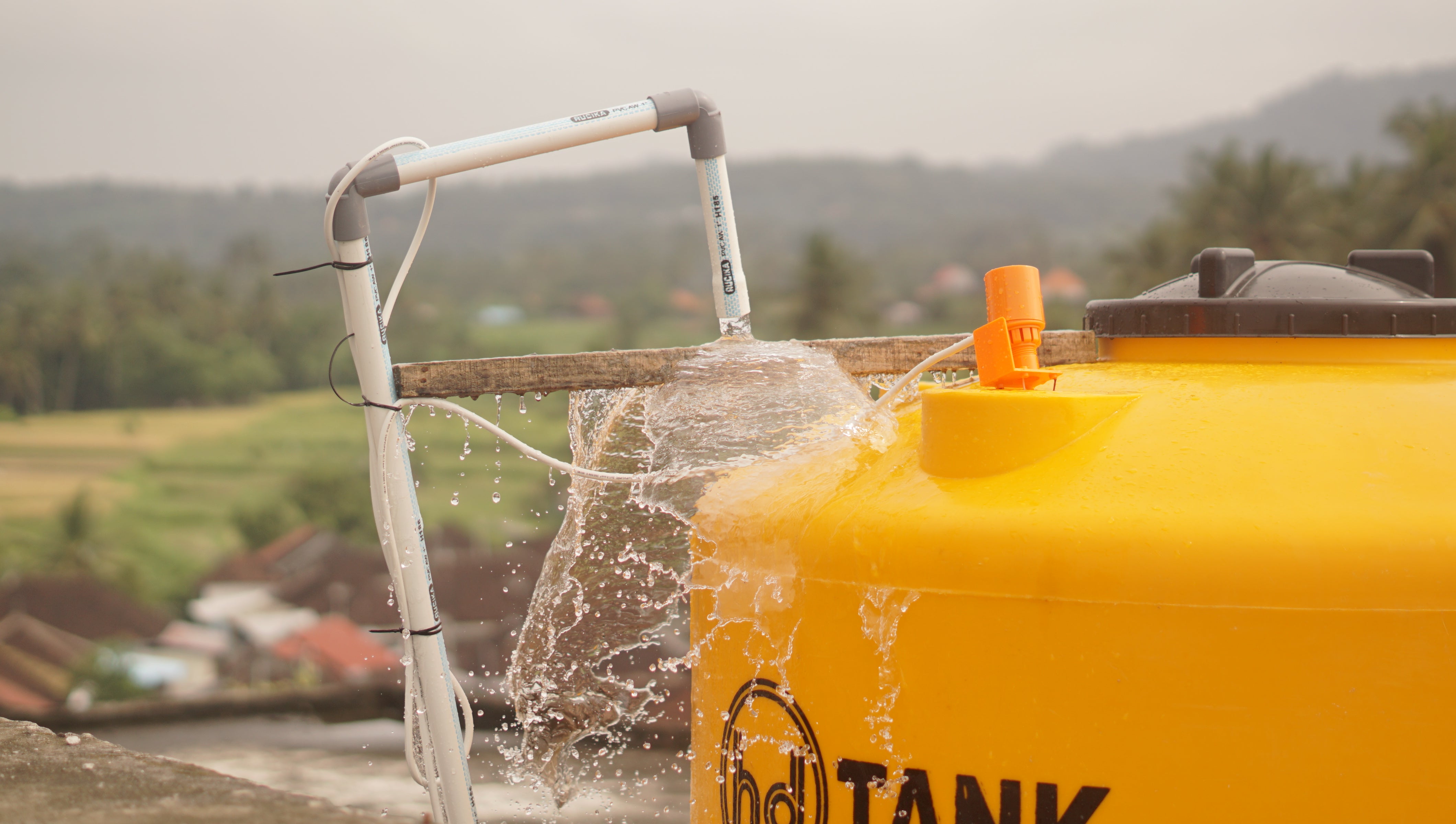 SAT-55 - Forage - Indonésie, Bali