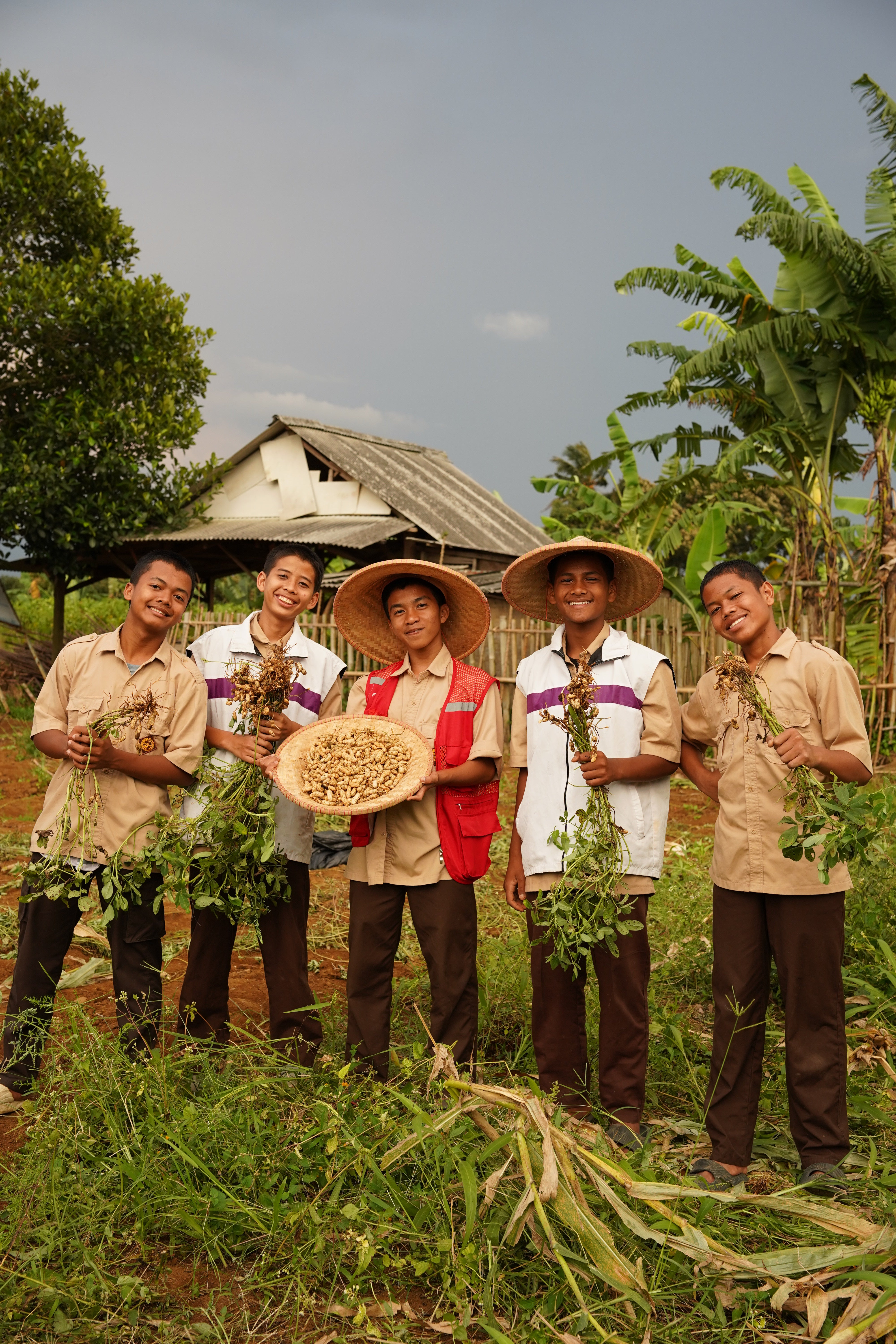 SAT-112 - Environnement - Arbres - Indonésie, Bogor