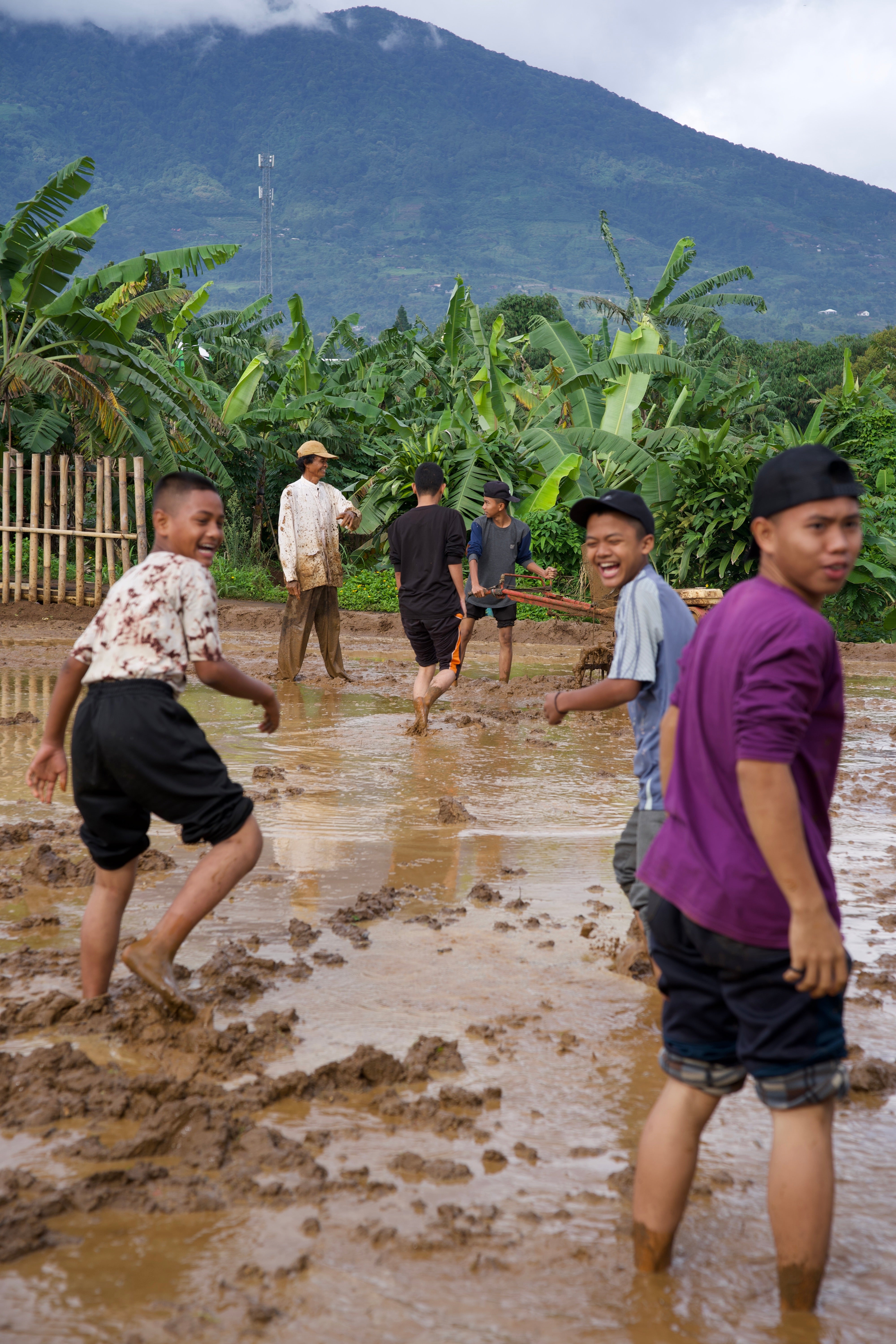 SAT-113 - Rizière – Bogor, Indonésie