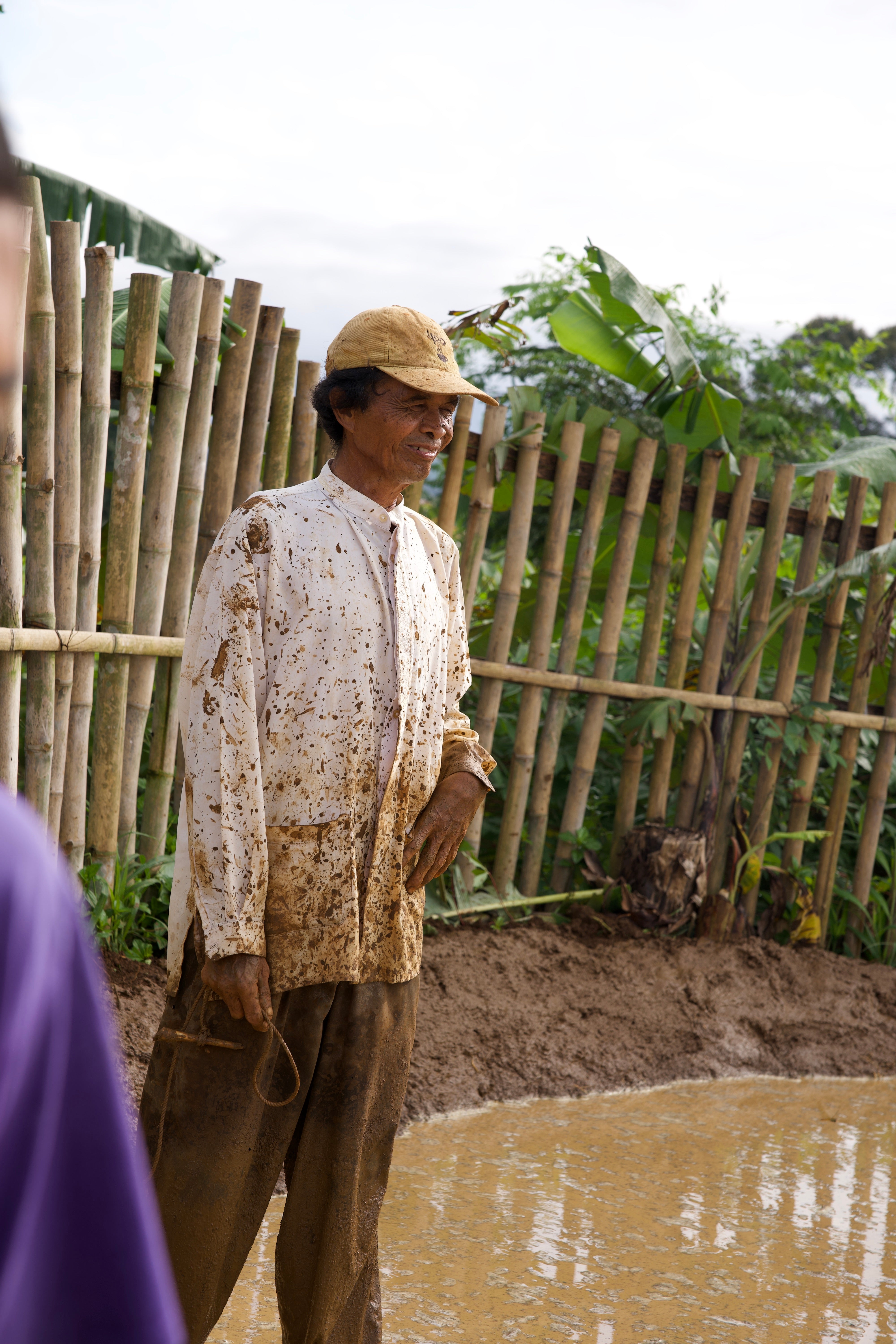 SAT-113 - Rizière – Bogor, Indonésie