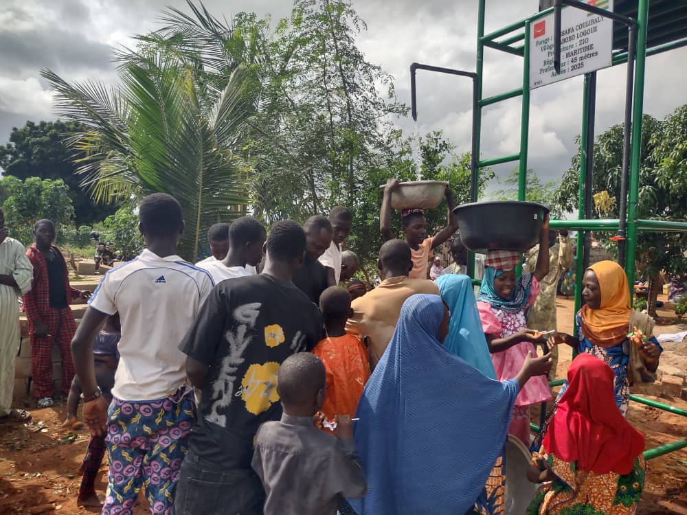 SAT-164 - Mini forage - Togo, late cope, Zio