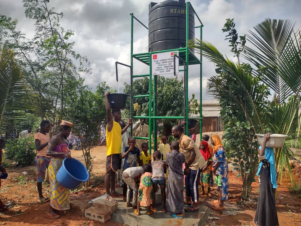 SAT-164 - Mini forage - Togo, late cope, Zio