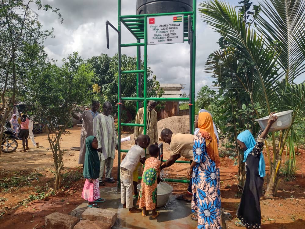 SAT-164 - Mini forage - Togo, late cope, Zio