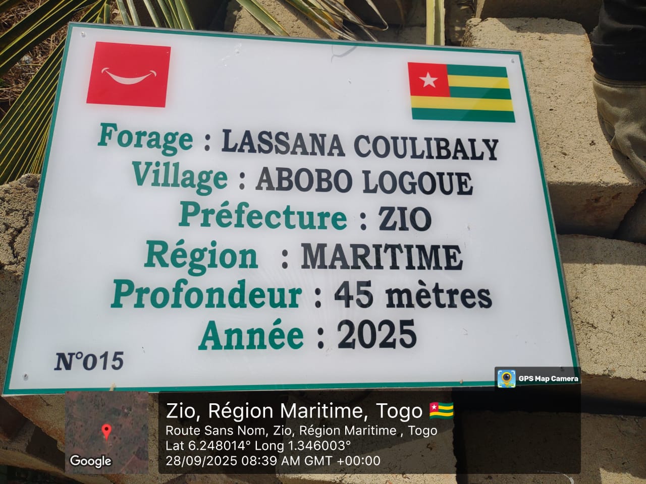 SAT-164 - Mini forage - Togo, late cope, Zio