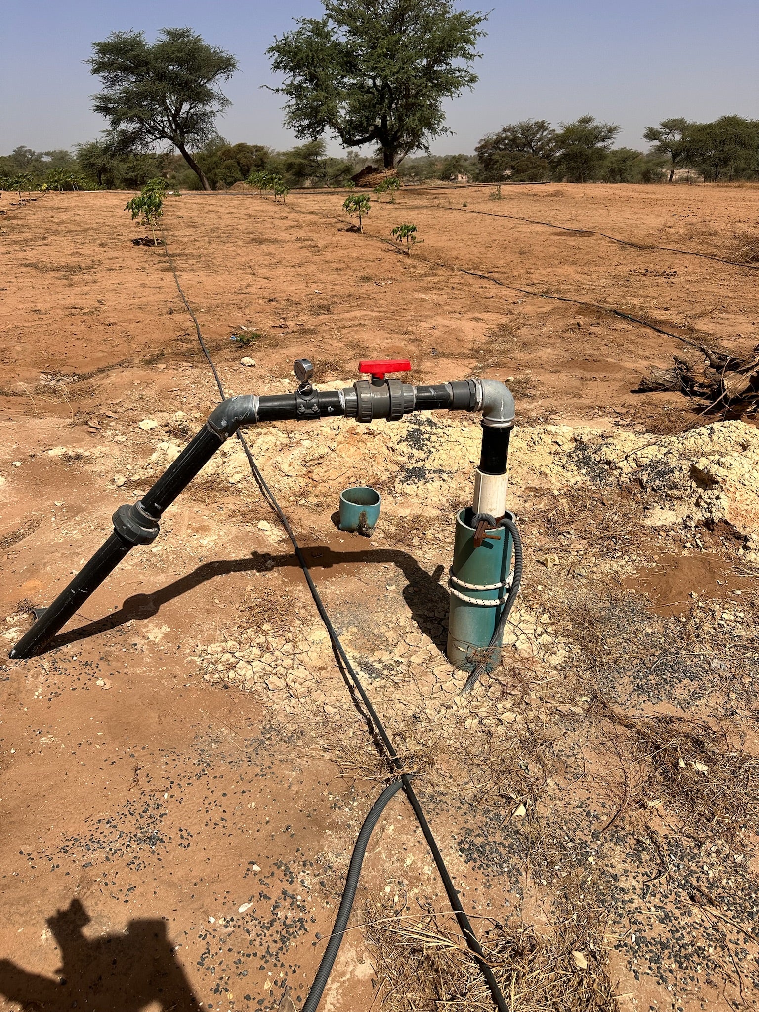 SAT-71 - Financement d'un hectar agricole - Sénégal, Dakar