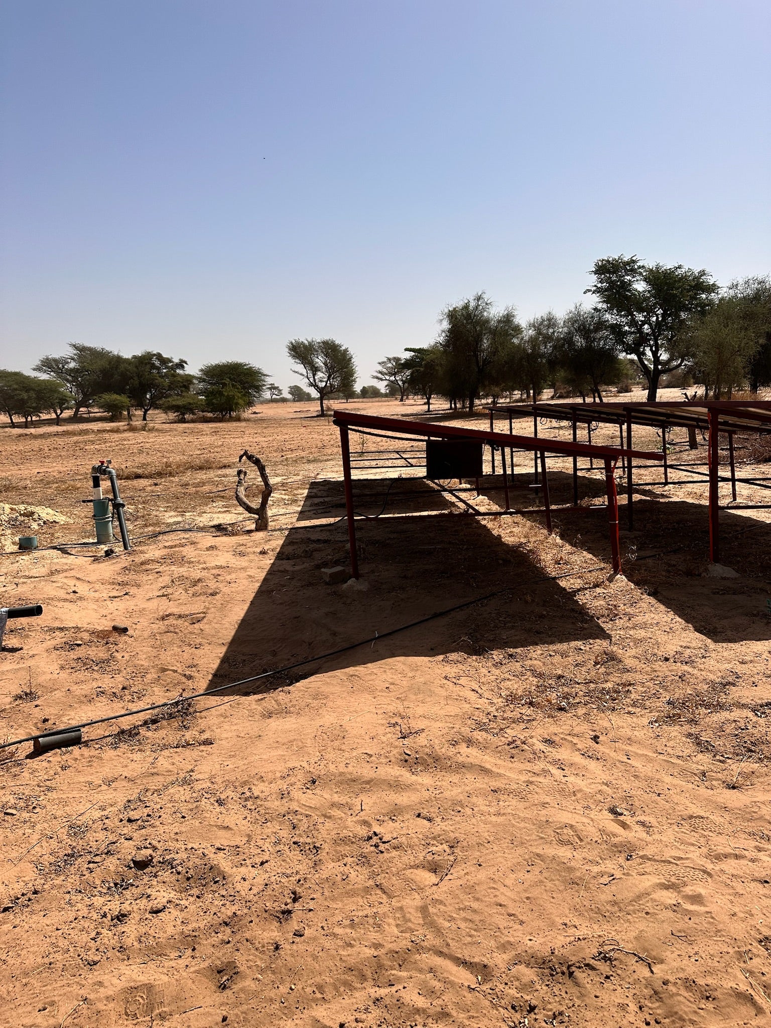 SAT-71 - Financement d'un hectar agricole - Sénégal, Dakar