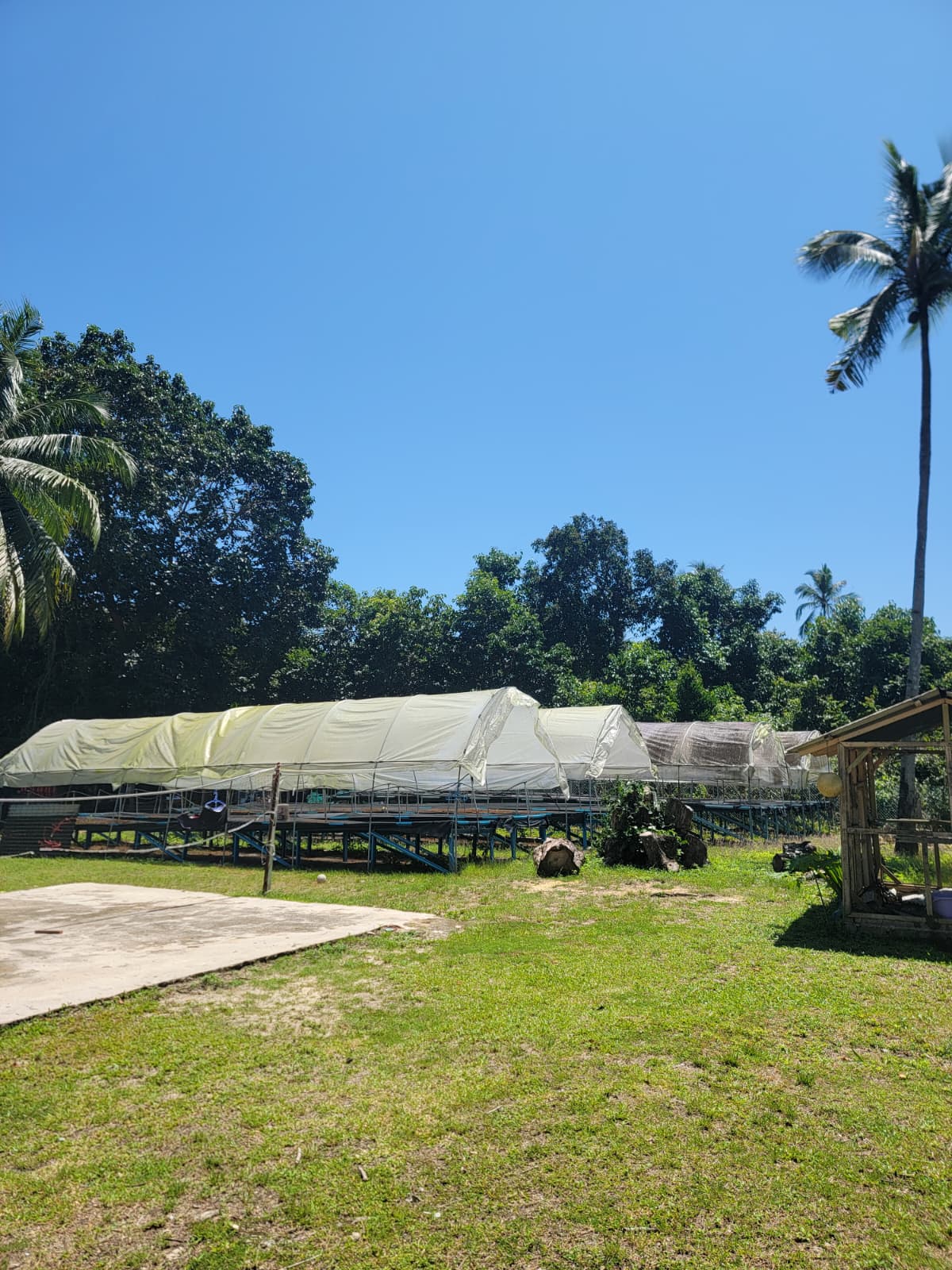 SAT-35 -Renovation centre	- Malaisie, Kuala Terrenganu