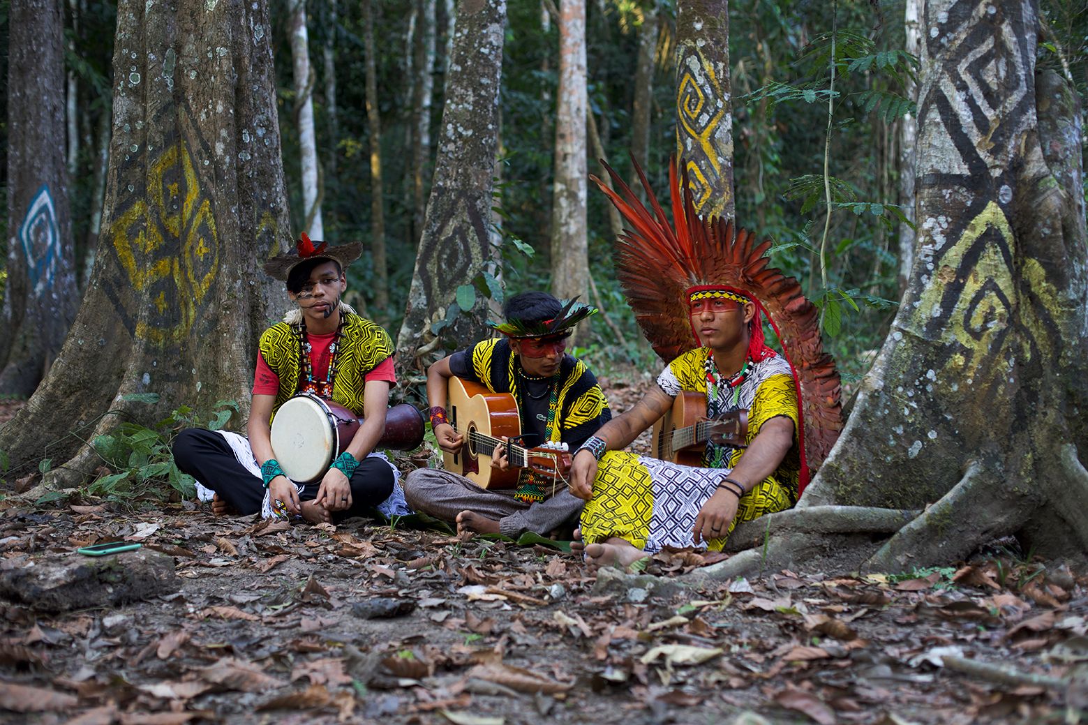 SAT-59 - Environnement - Arbres - Brésil,Acre, Amazonie, PINUYA