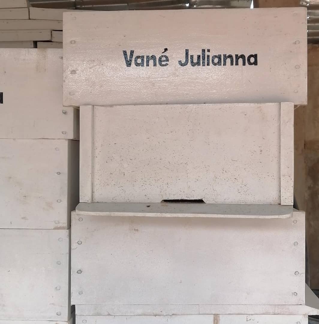 SAT-14 - Installation de ruches – Toucountouna & Tanguiéta, Bénin