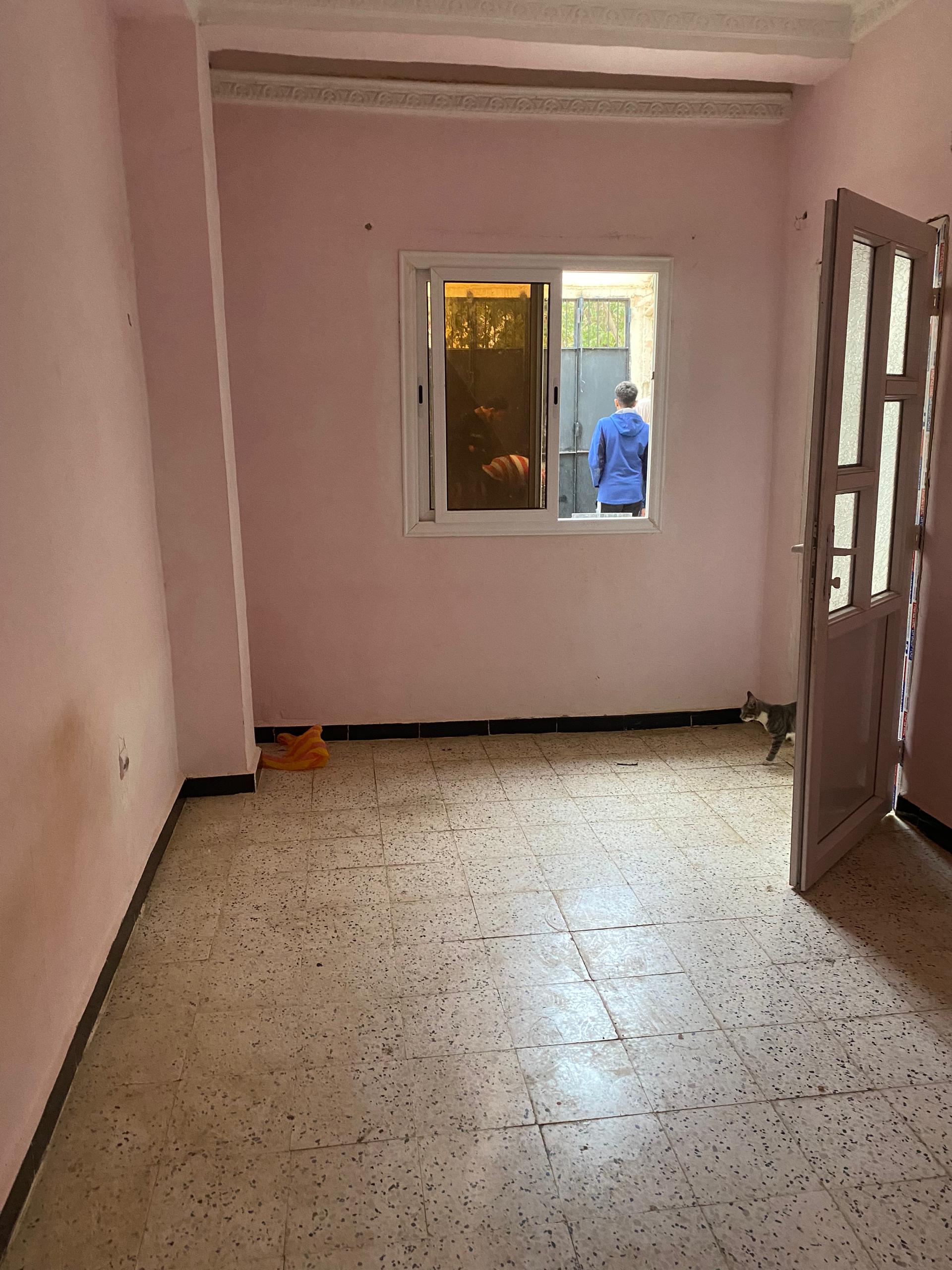 SAT-133 - Institut – Oran, Algérie