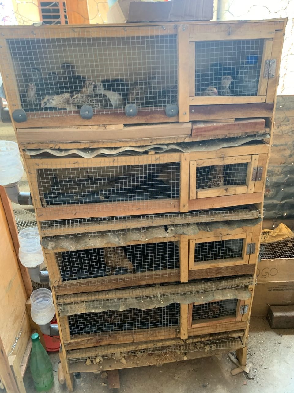 SAT-214-Achat de 2 hectar de terrain agricole