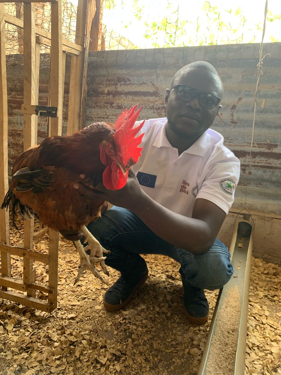 Rabbit farm – Parakou, Benin