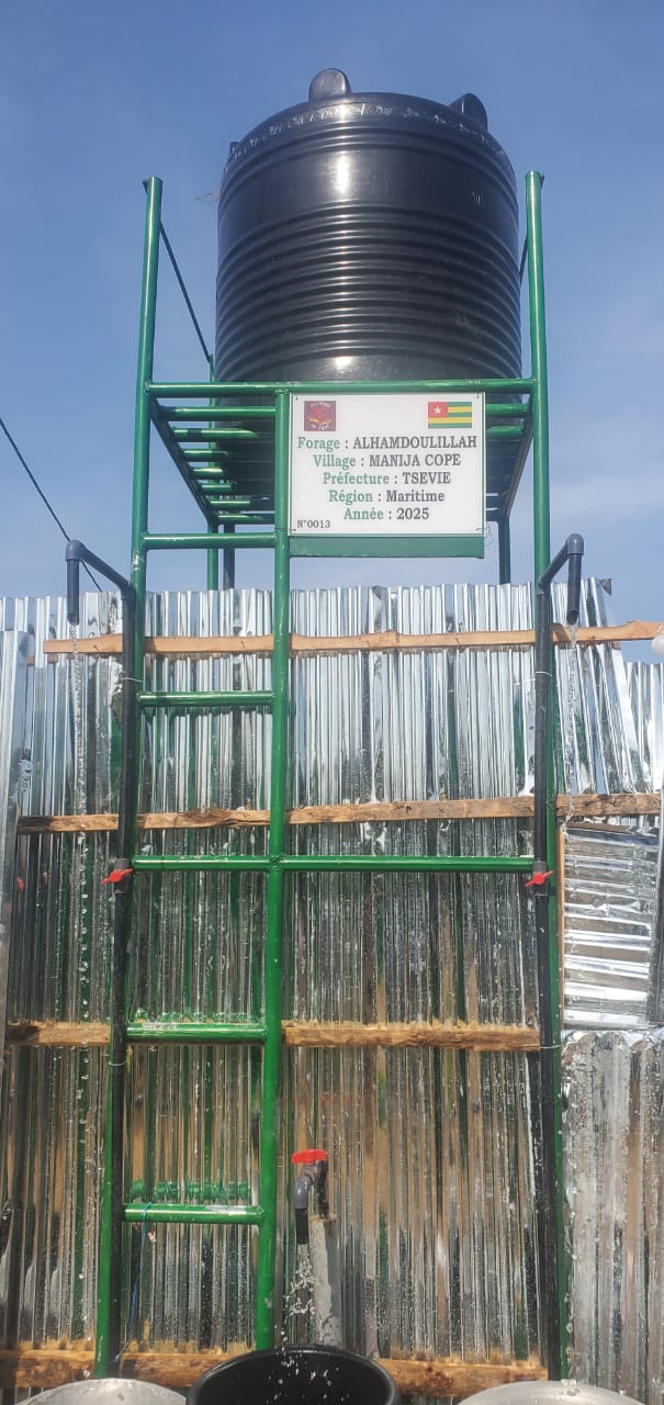 SAT-166 - Mini forage - Togo, Manija Copé