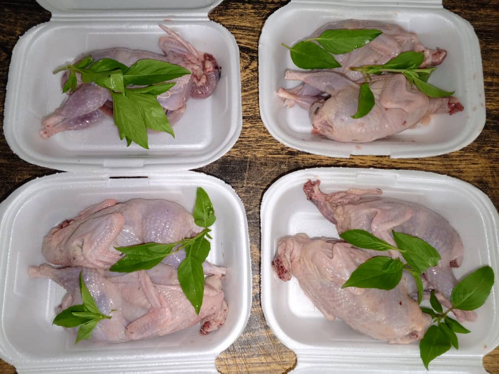 Rabbit farm – Parakou, Benin