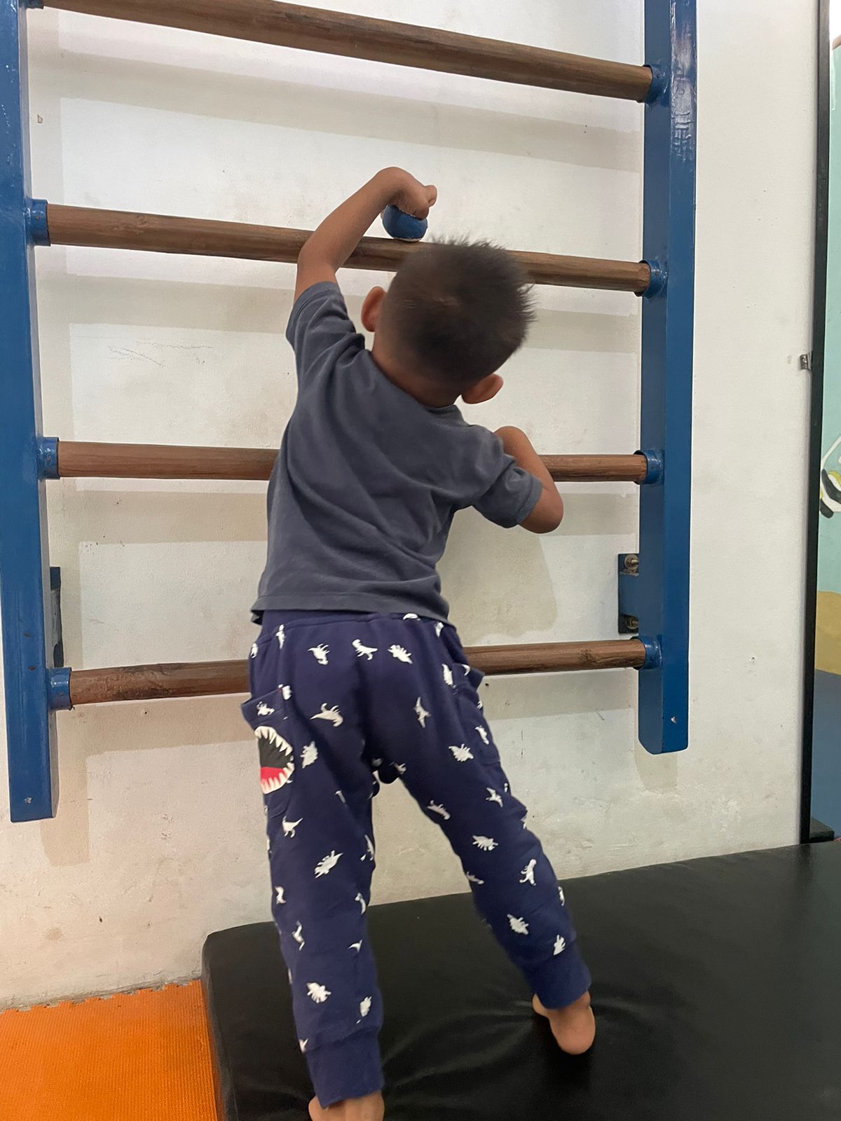 SAT-130 - Aide à Gofran – Teluk Kombal, Indonésie