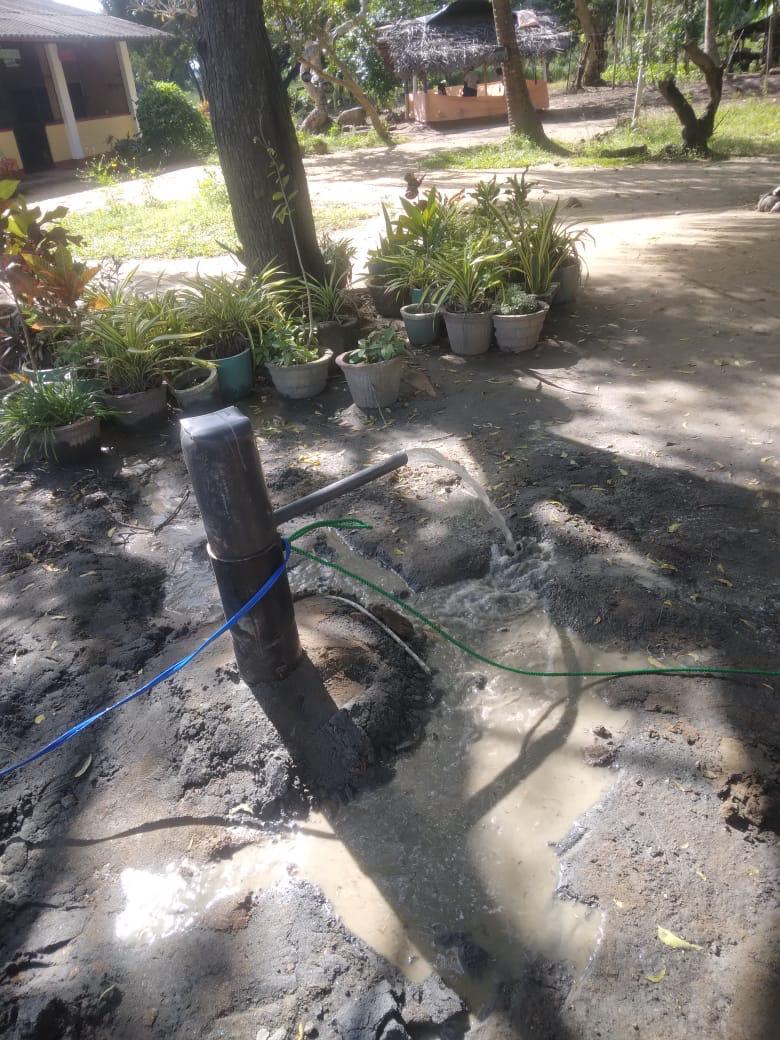 SAT-97 - Forage – Sri Lanka