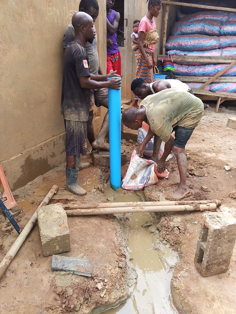 SAT-155 - Mini forage - Togo, adeti copé agnave, agoe