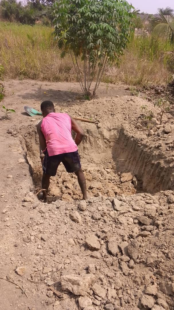 SAT-163 - Mini forage - Togo, Asome Zogbe, Tsevi