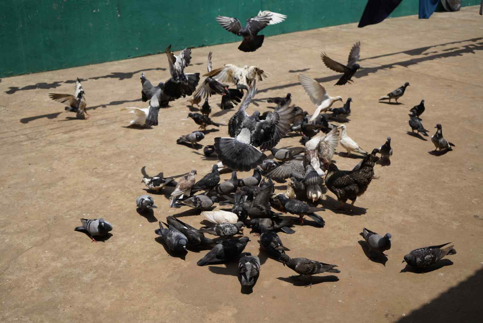 Orphanage – Mombasa, Kenya