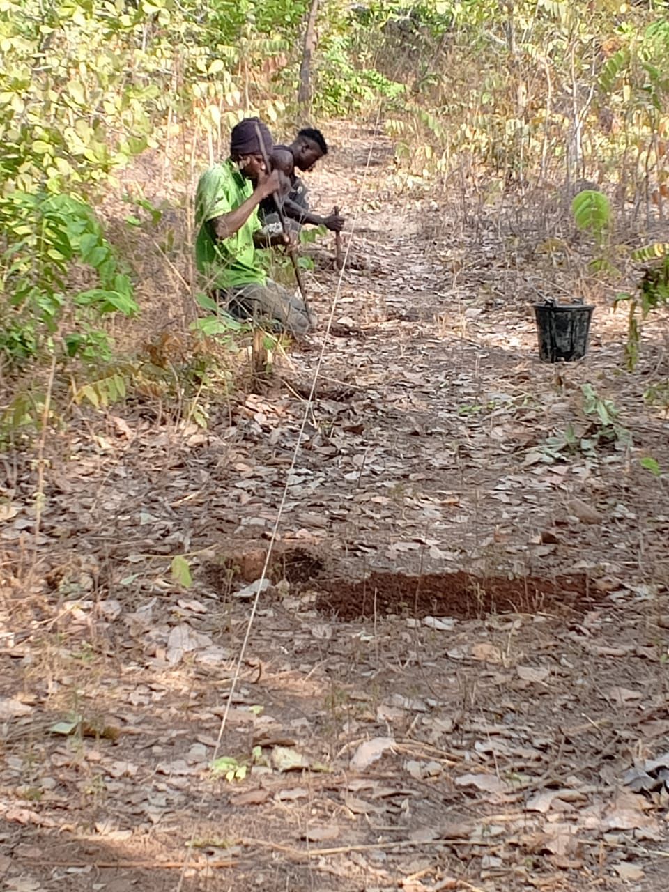 SAT-247: Développement d'un projet agricole; Djougou; Bénin.