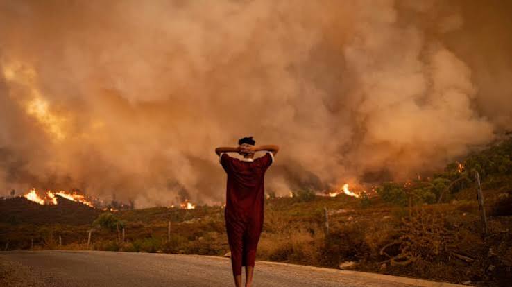 URGENCE ALGERIE