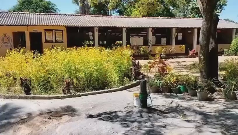 SAT-97 - Forage – Sri Lanka