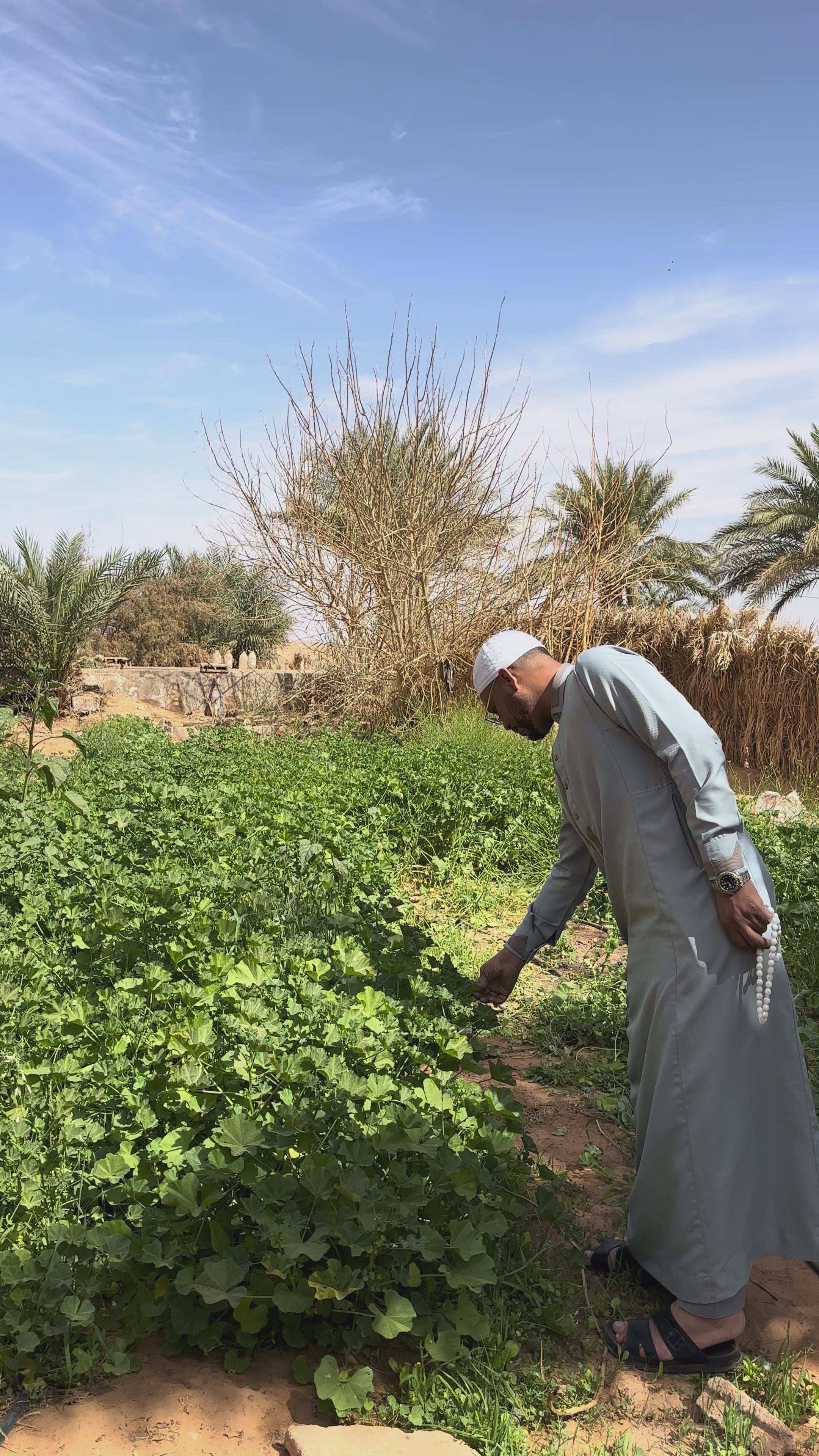 SAT-224: Financement d'un Waqf; Algérie; Adrar.