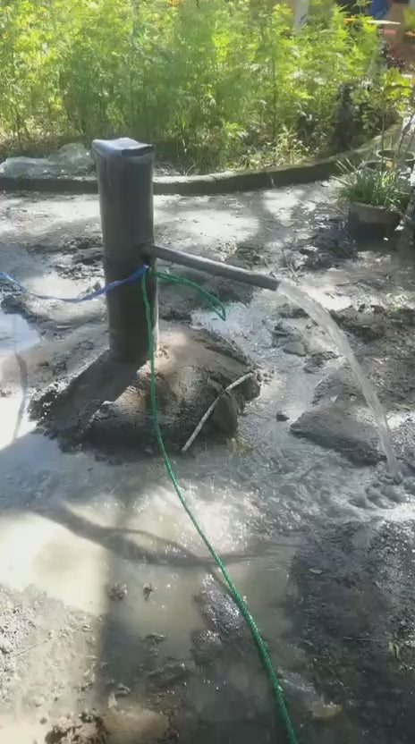 SAT-97 - Forage – Sri Lanka