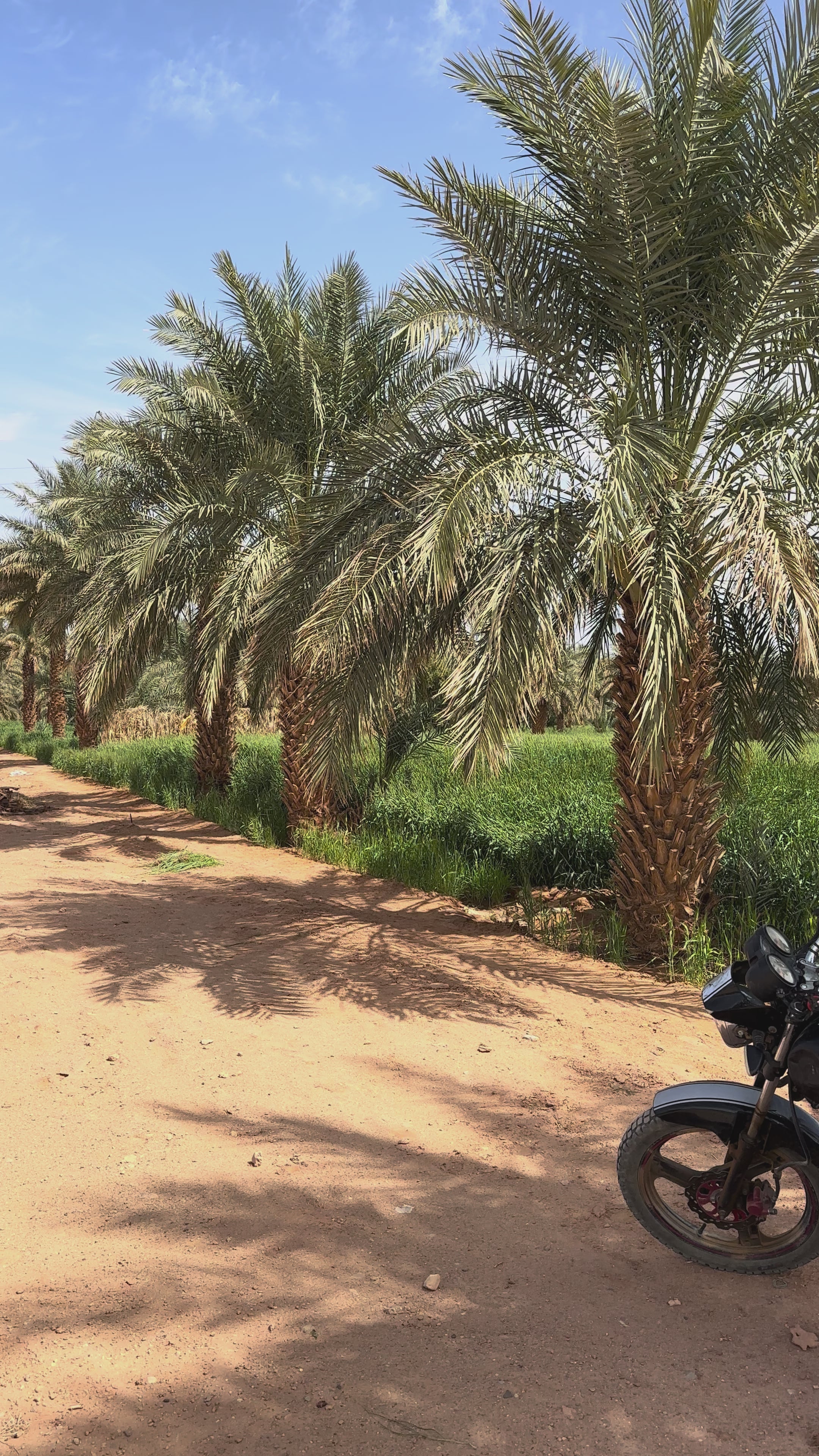 SAT-224: Financement d'un Waqf; Algérie; Adrar.